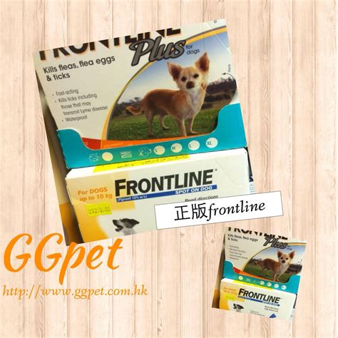 Frontline Plus 用法：全面了解寵物除蚤劑