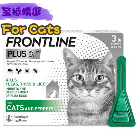 Frontline Plus 貓：終極滅蚤除蜱指南