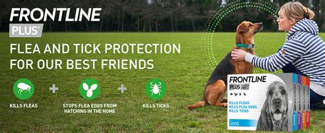 Frontline Plus for Dogs: The Comprehensive Protection You Need