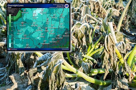 Frost Advisory in Effect: Stay Vigilant to Protect Plants and Infrastructure