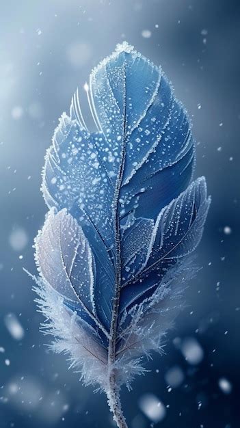 Frozen Feathers: