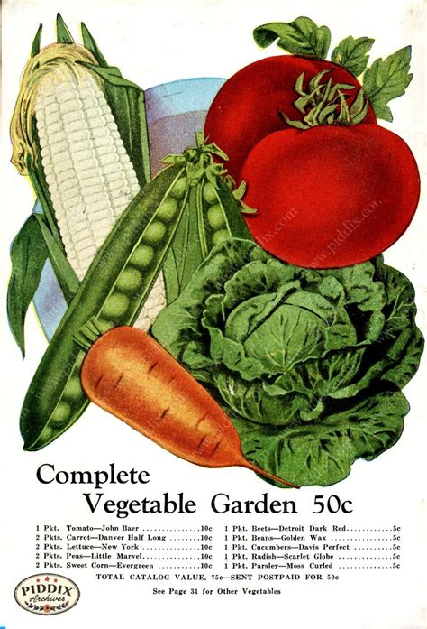 Fruit And Vegetable Seed Catalogs