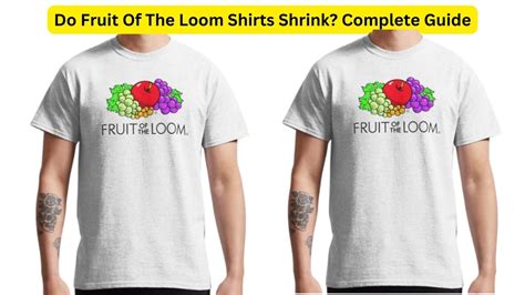 Fruit of the Loom Shirts: A Comprehensive Guide to Comfort, Quality, and Versatility