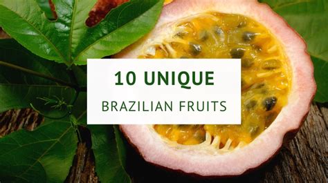 Fruta Bet: A Complete Guide to the Thrilling World of Brazilian Fruit Betting