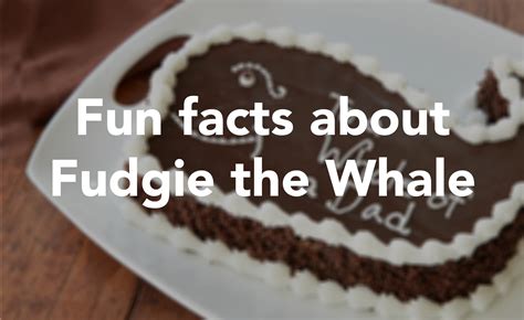 Fudgie the Whale: A Comprehensive Guide to the Endearing Cetacean