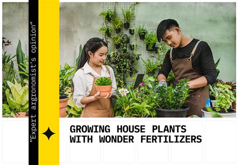 Fueling Floral Magnificence: Unlocking the Wonders of Fertilizer