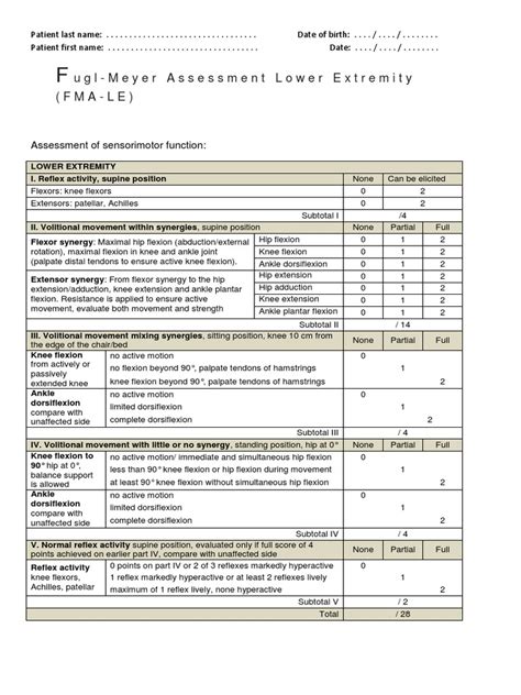 Fugl Meyer Pdf Doc