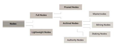 Full Nodes