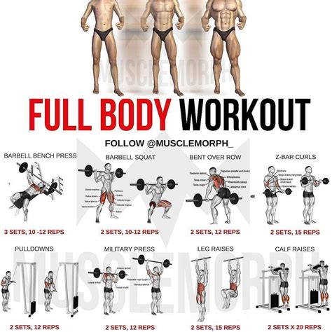 Full-Body Workout: