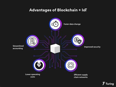 Fully Verified Stake Accounts: Enhancing Trust and Security in Blockchain Ecosystems