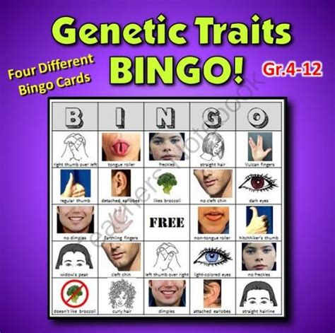 Fun and Educational: Engage Your Students with Genetic Traits Bingo!