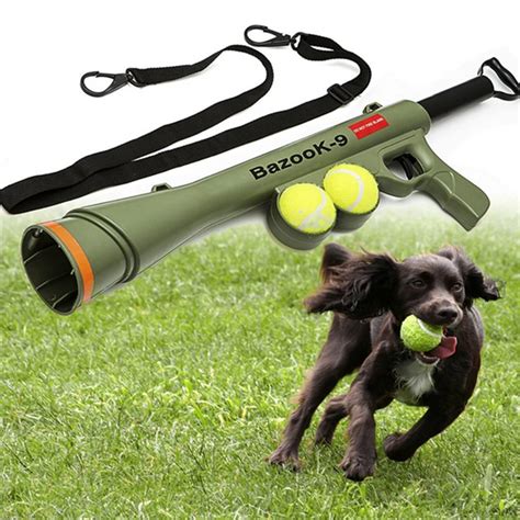 Fun pet toys for socialization and training