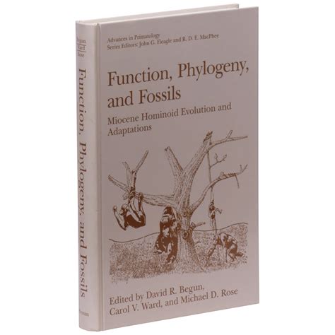 Function, Phylogeny, and Fossils Miocene Hominoid Evolution and Adaptations 1st Edition Doc