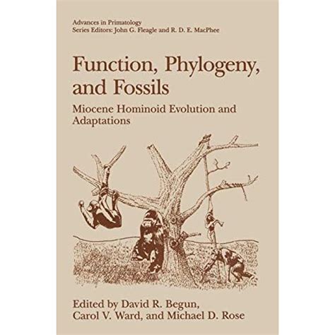 Function, Phylogeny, and Fossils Miocene Hominoid Evolution and Adaptations 1st Edition Doc