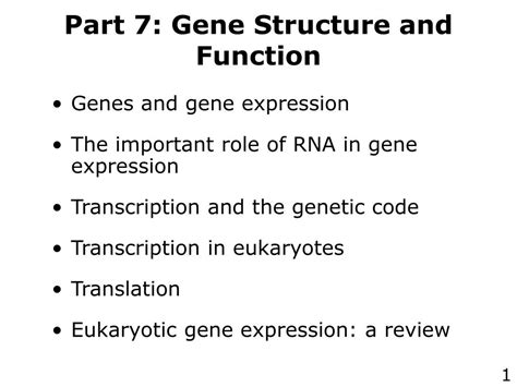 Function of Genes
