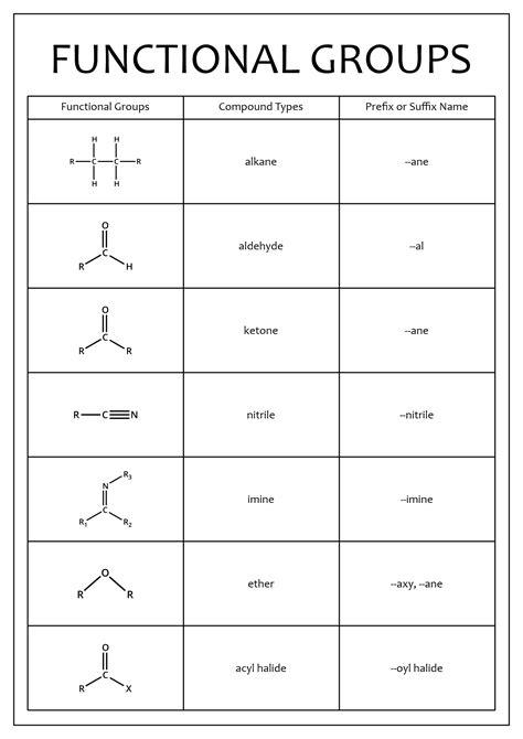 Functional Group Identification Answers Kindle Editon