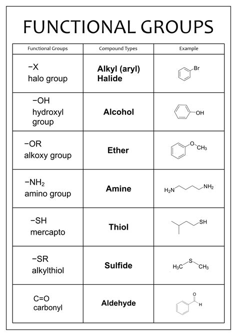 Functional Groups And Organic Reactions Guided Answers PDF