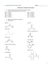 Functional Groups Answers Section 23 Reader