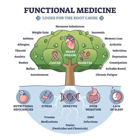 Functional medicine: