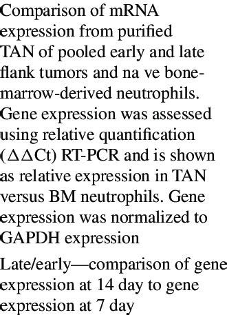 Functions of Gene Tan NLB