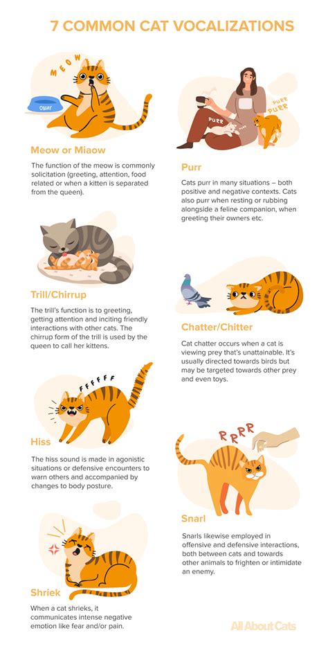 Functions of Meowing: