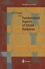 Fundamental Aspects of Silicon Oxidation 1st Edition Epub