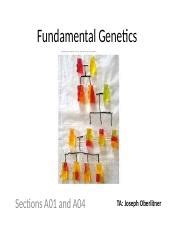 Fundamental Of Genetics Answers Kindle Editon