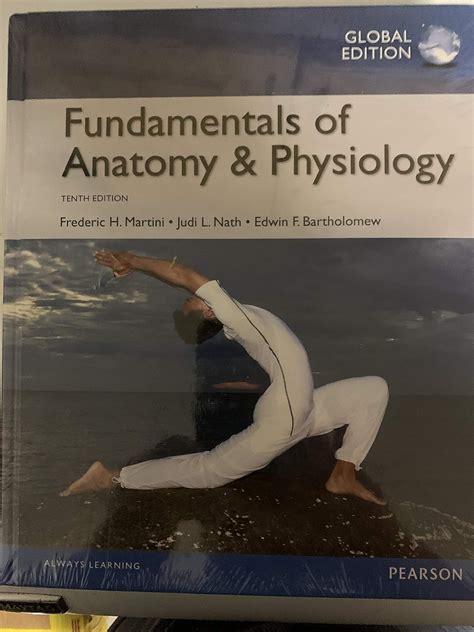 Fundamentals Anatomy Physiology Frederic Martini Epub