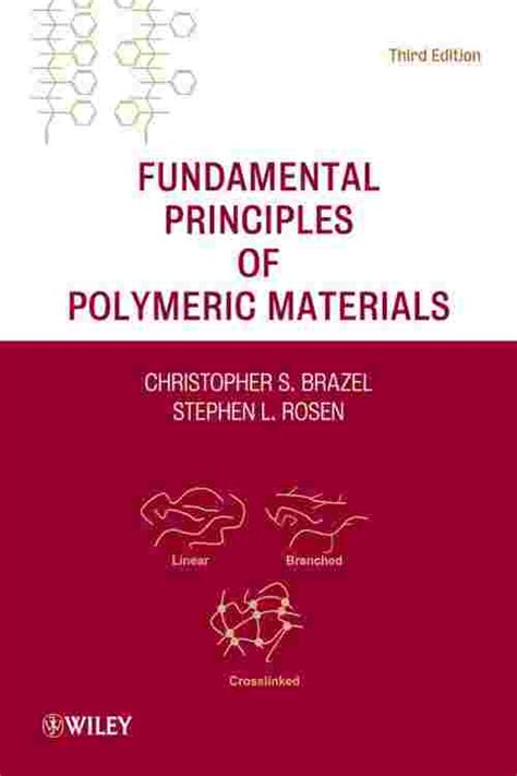 Fundamentals Of Polymeric Materials Solutions Ebook Epub