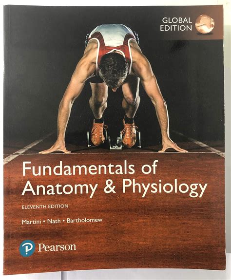 Fundamentals of Anatomy & Physiology 101: Unraveling the Human Body's Blueprint