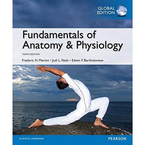 Fundamentals of Anatomy and Physiology 10th Edition Doc