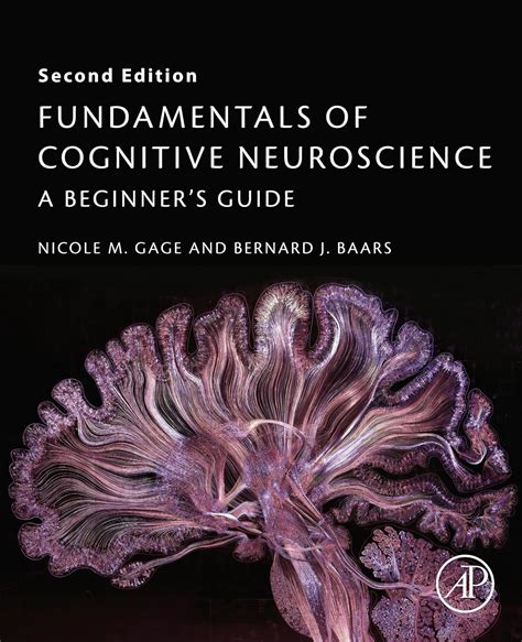 Fundamentals of Cognitive Neuroscience A Beginner's Guide Epub