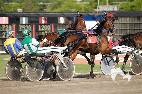 Fundamentals of Harness Racing