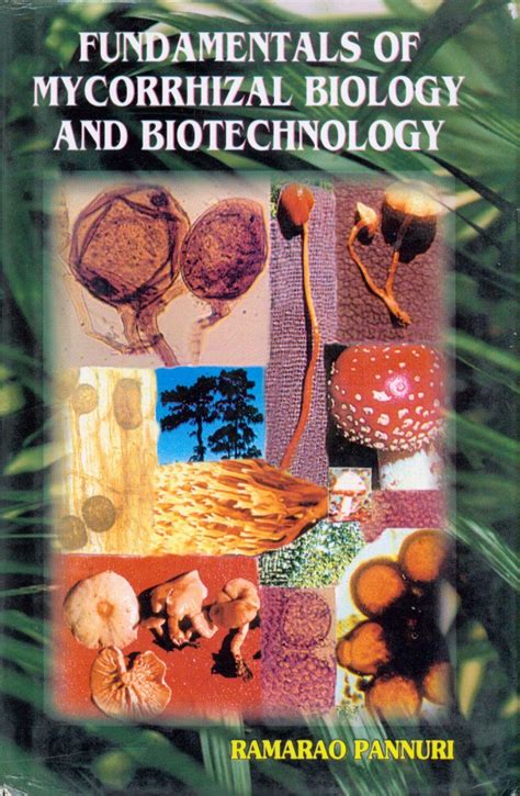 Fundamentals of Mycorrhizal Biology and Biotechnology Kindle Editon