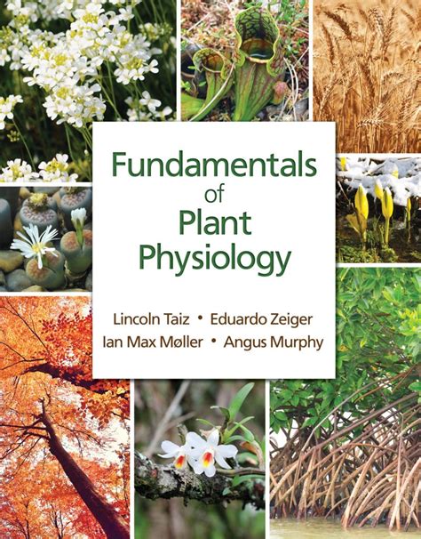 Fundamentals of Plant Physiology 13th Revised Edition PDF