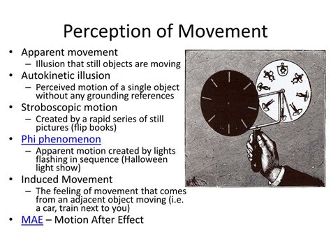 Fundamentals of the Theory of Movement Perception Epub