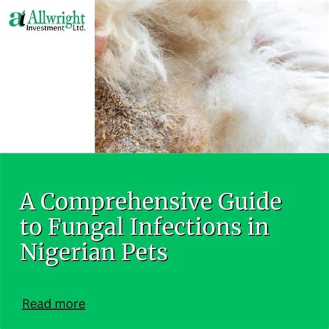 Fungal Infections in Dogs: A Comprehensive Guide for Concerned Owners