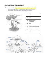 Fungi Answer Key Pearson Kindle Editon