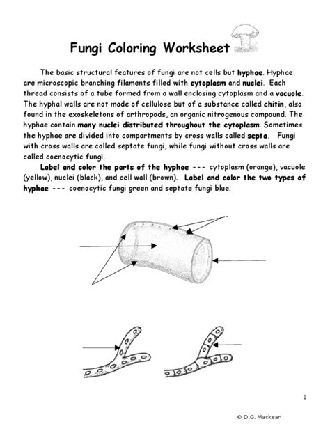 Fungi Coloring Sheet Answer Key Reader