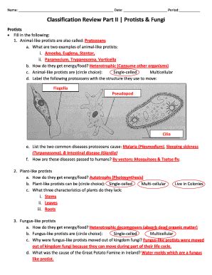 Fungi Section Review Answer Key Pearson Kindle Editon