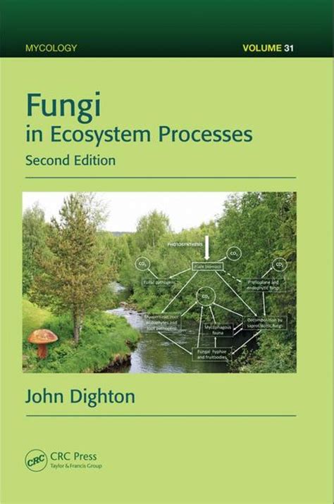 Fungi in Ecosystem Processes Revised Edition Reader