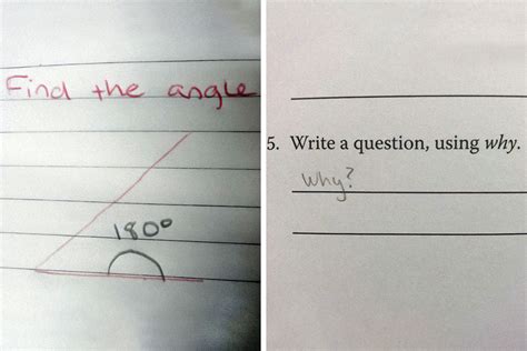 Funny English Test Answers Reader