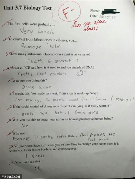 Funny Exam Answers 9gag Reader