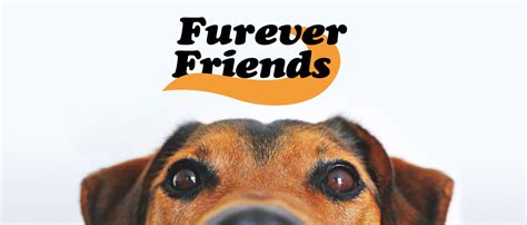 FurEver Friends Pet Supplies Review: 2025 Comparison Guide