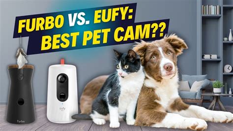 Furbo vs Uahpet: 2025 Pet Camera Showdown Explored