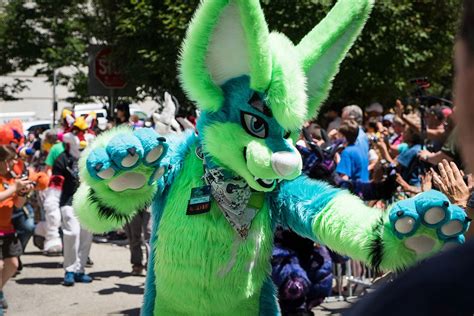 Fursuits Under $250: A Comprehensive Guide for Aspiring Furries