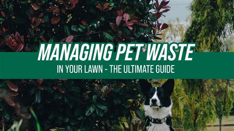 Fursure Pet Waste Management 2025: The Ultimate Guide