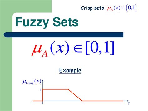 Fuzzy Sets PDF