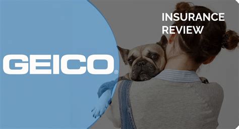 GEICO Pet Insurance: The Ultimate Guide for 2023