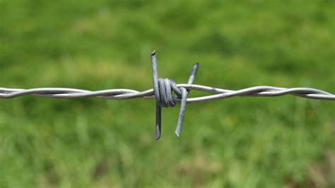 GI Barbed Wire: A Comprehensive Guide for Protection and Security